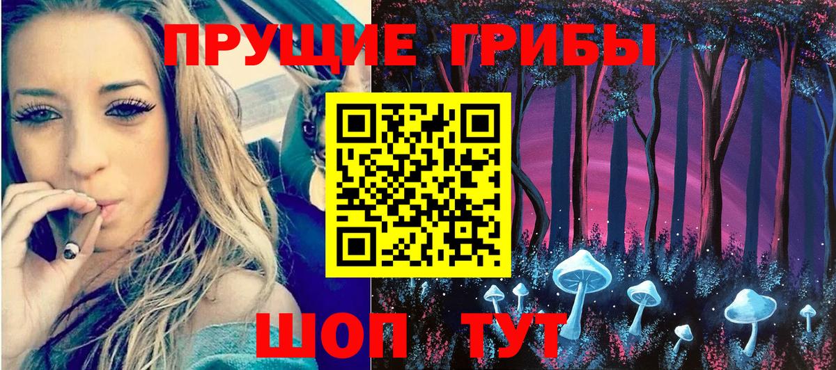 Можга  Псилоцибиновые грибы мухоморы  Вход с VPN 