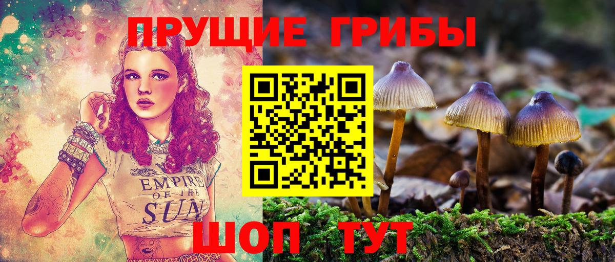 Псилоцибиновые грибы GOLDEN TEACHER Можга